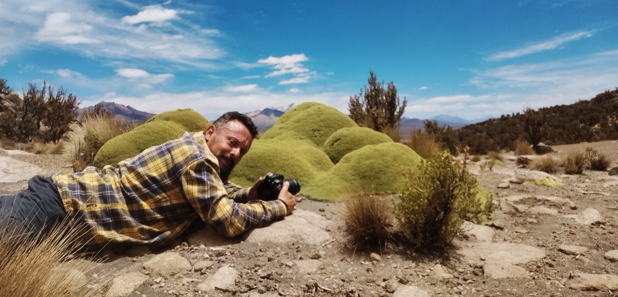 Piante millenarie, Bolivia